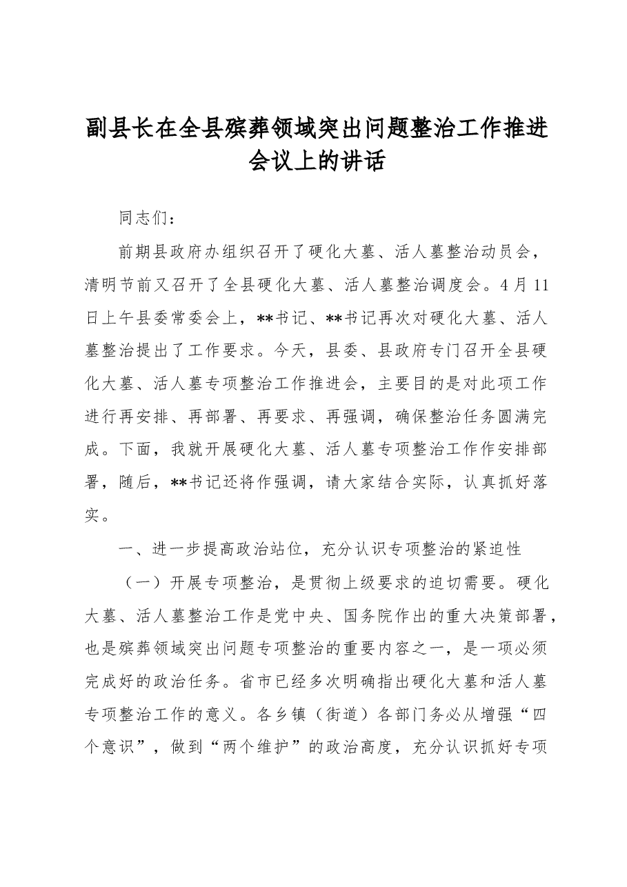 副县长在全县殡葬领域突出问题整治工作推进会议上的讲话.docx,第1页预览