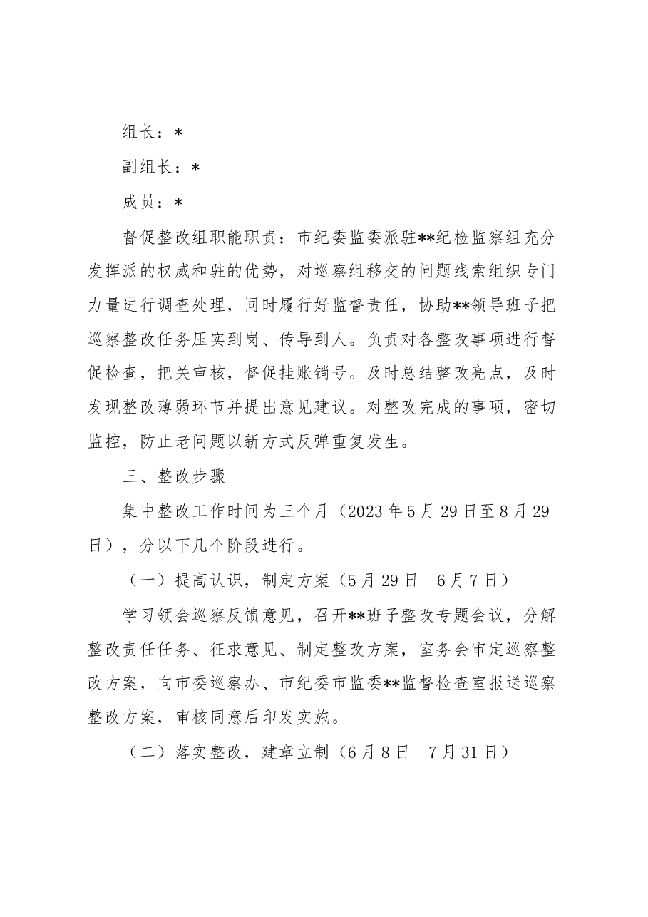 领导班子关于落实市委巡察反馈意见整改工作方案.docx,第4页预览