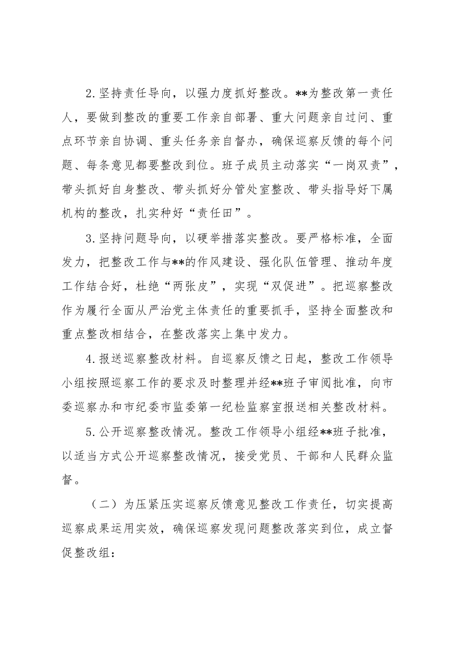 领导班子关于落实市委巡察反馈意见整改工作方案.docx,第3页预览