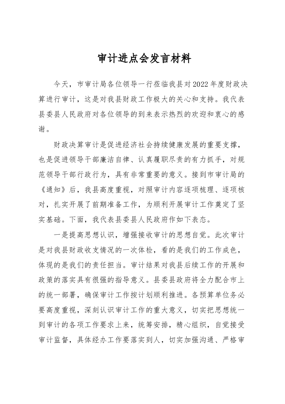审计进点会发言材料.docx,第1页预览