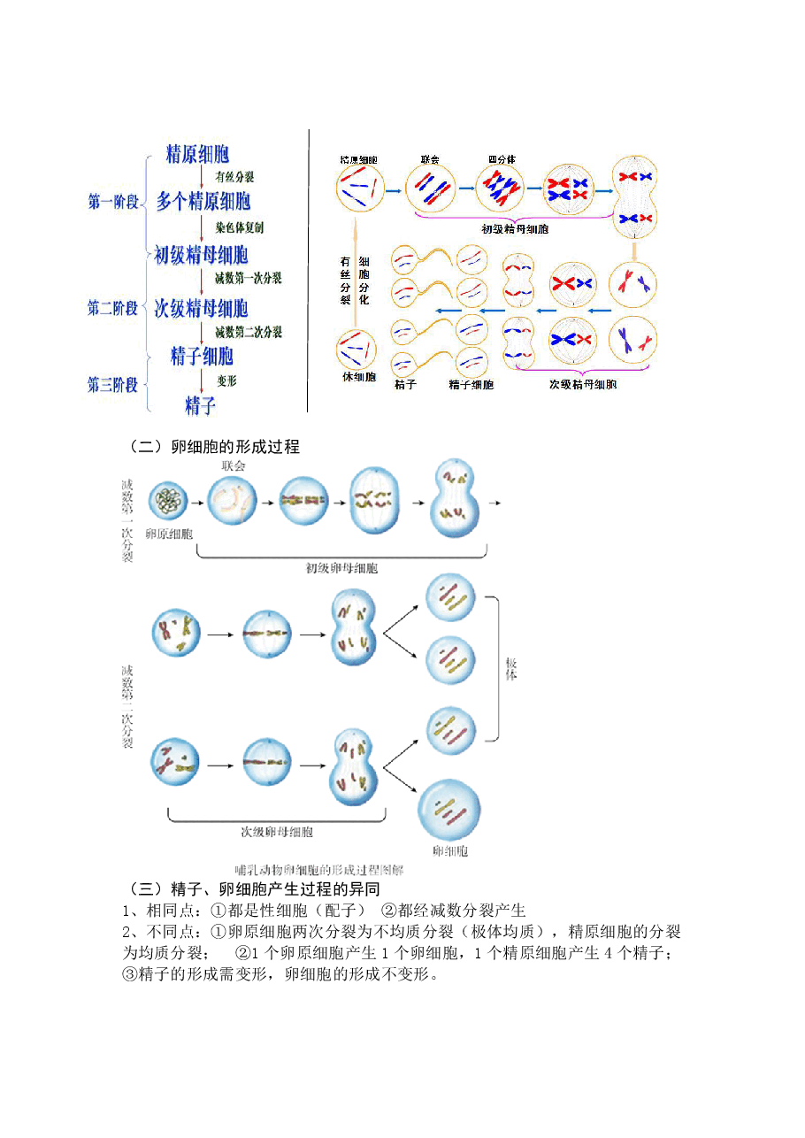 【高一生物】目标清北课后总结寒假第一讲.pdf,第2页预览