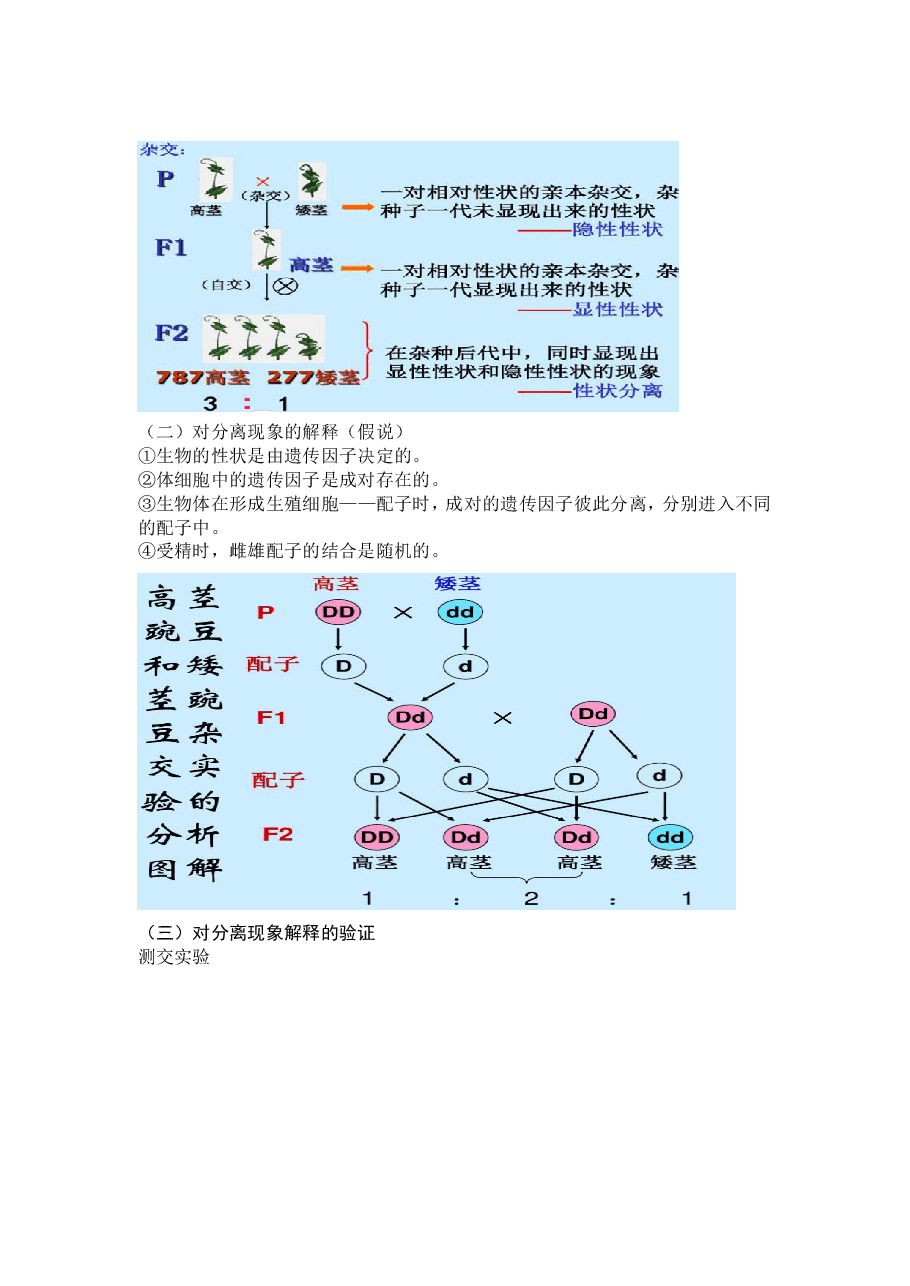 【高一生物】目标清北课后总结寒假第二讲.pdf,第2页预览
