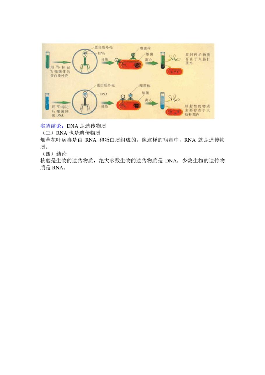 【高一生物】目标清北课后总结寒假第五讲.pdf，第3页预览