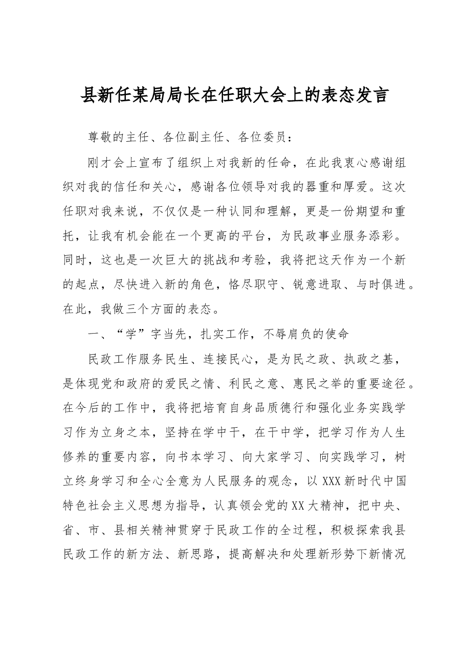 县新任某局局长在任职大会上的表态发言.docx,第1页预览