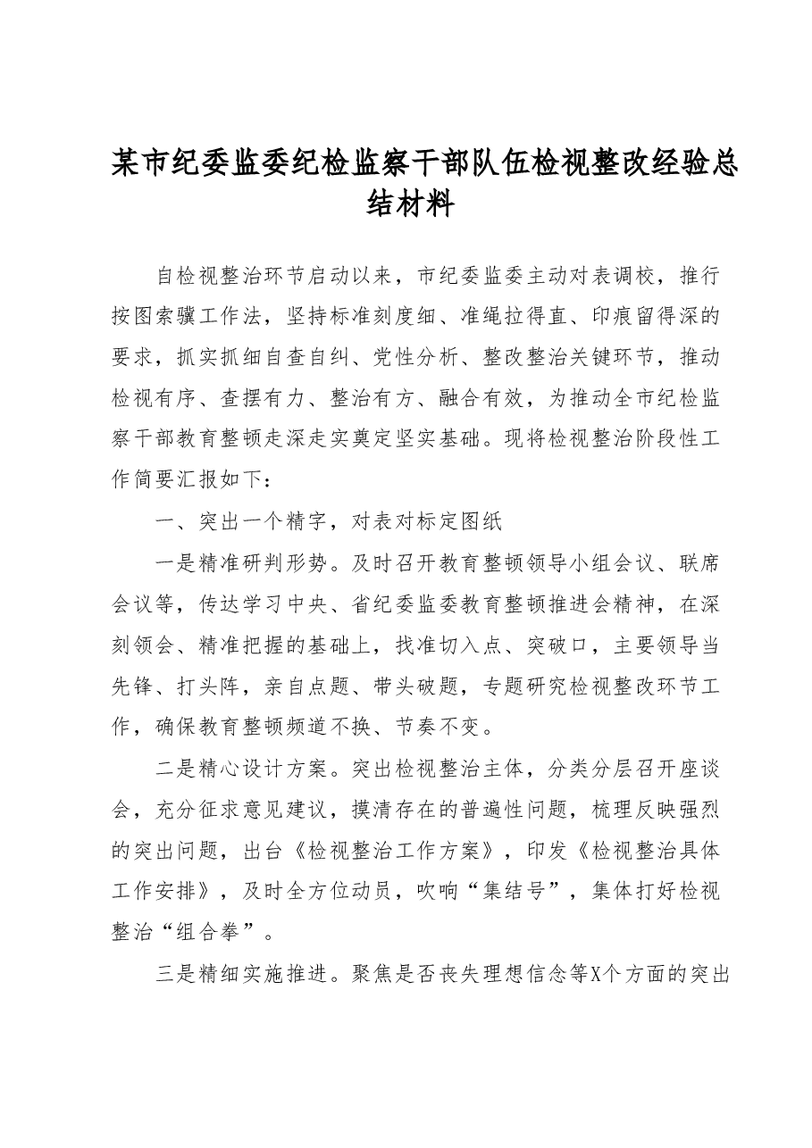 某市纪委监委纪检监察干部队伍检视整改经验总结材料.docx,第1页预览