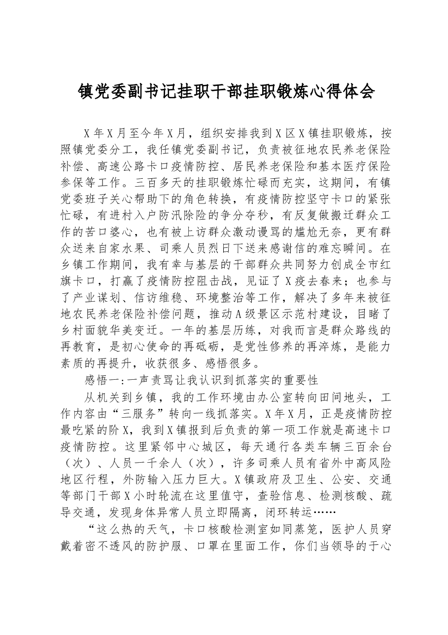 镇党委副书记挂职干部挂职锻炼心得体会.docx,第1页预览