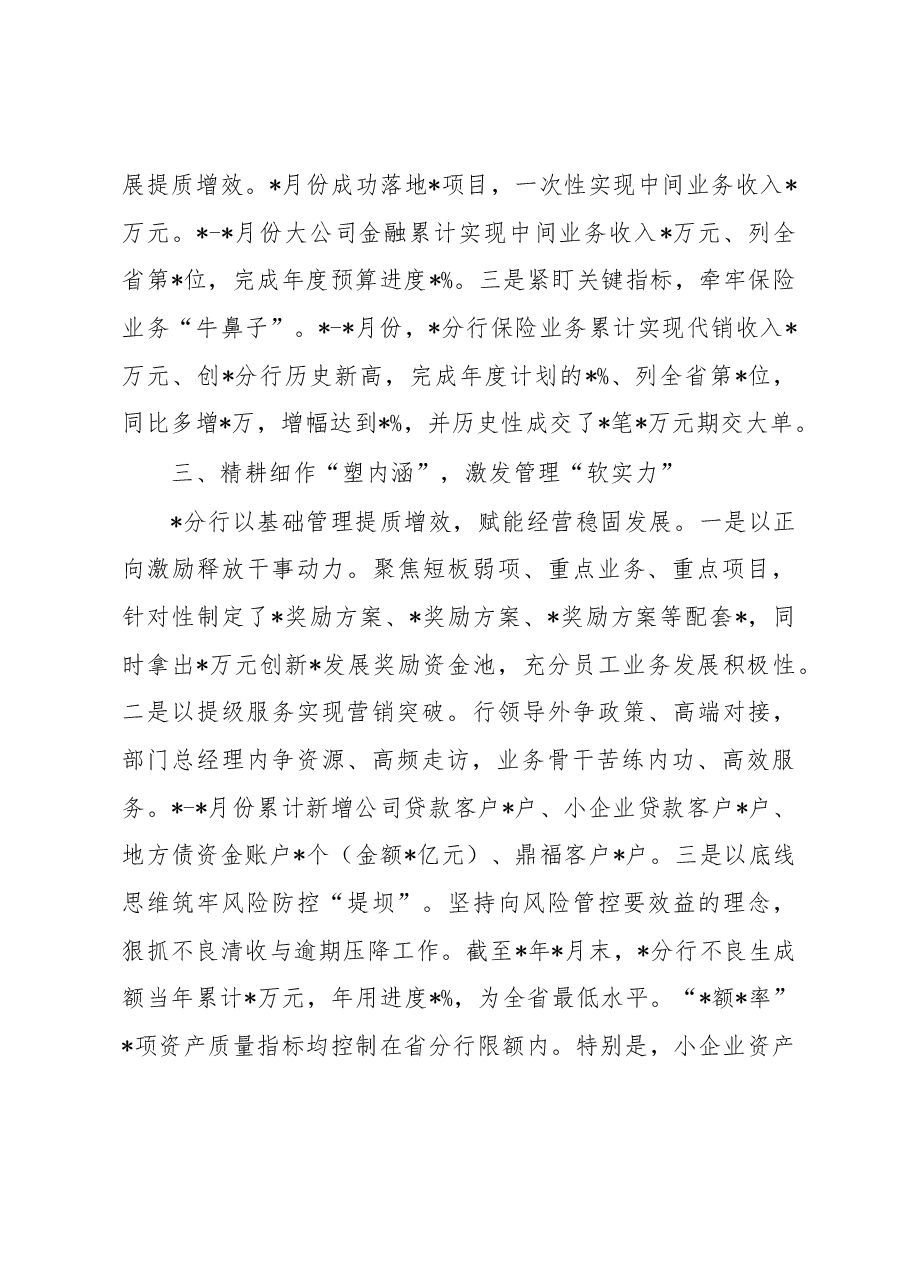银行在全省经营分析视频会经验分享发言材料.docx,第3页预览