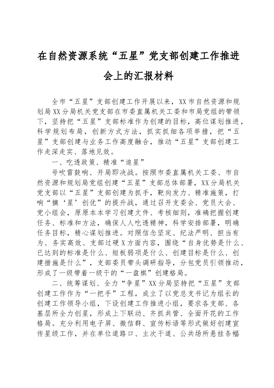 在自然资源系统“五星”党支部创建工作推进会上的汇报材料.docx,第1页预览