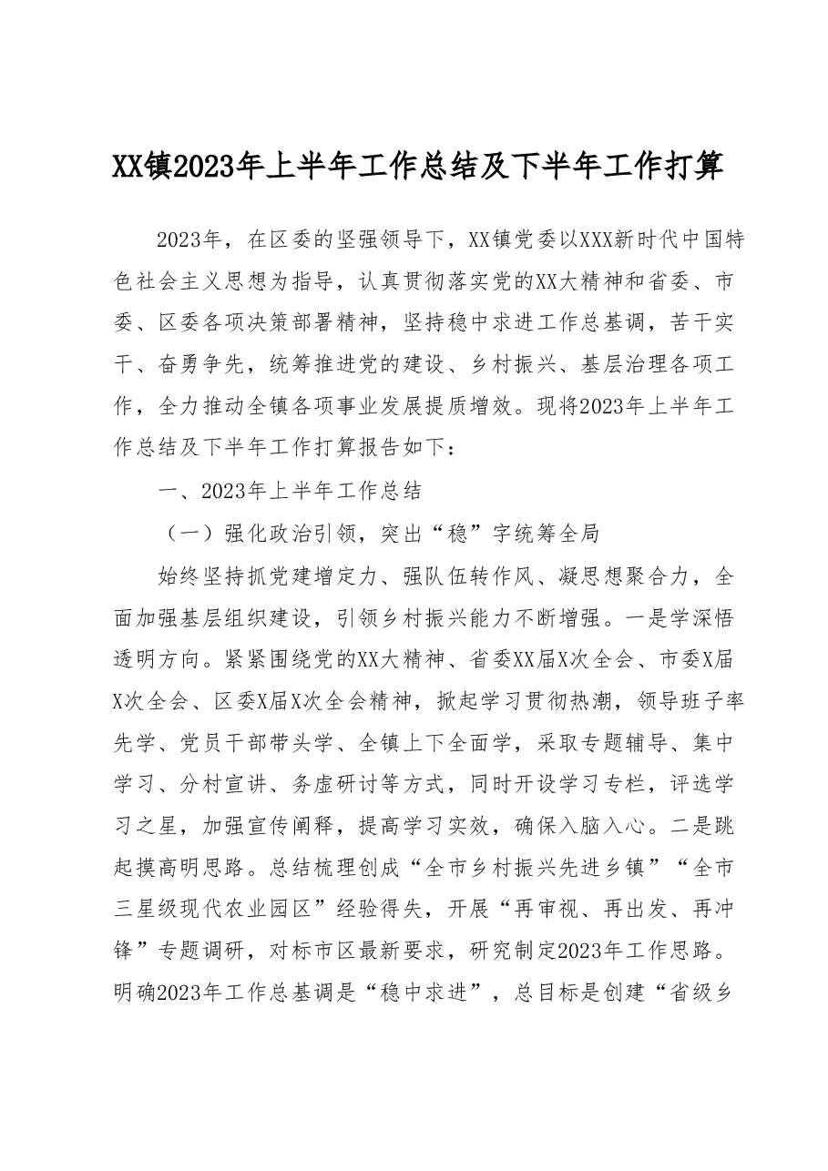 XX镇2023年上半年工作总结及下半年工作打算.docx,第1页预览