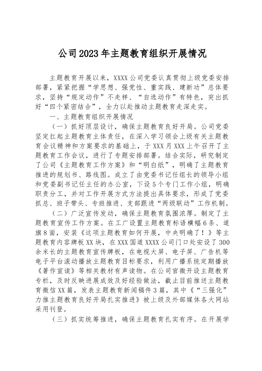 公司2023年主题教育组织开展情况.docx,第1页预览