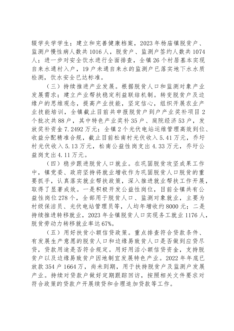 2023年巩固拓展脱贫攻坚成果上半年工作总结.docx,第2页预览