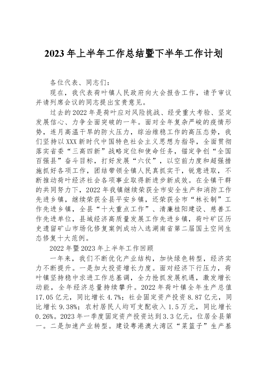 2023年上半年工作总结暨下半年工作计划.docx,第1页预览