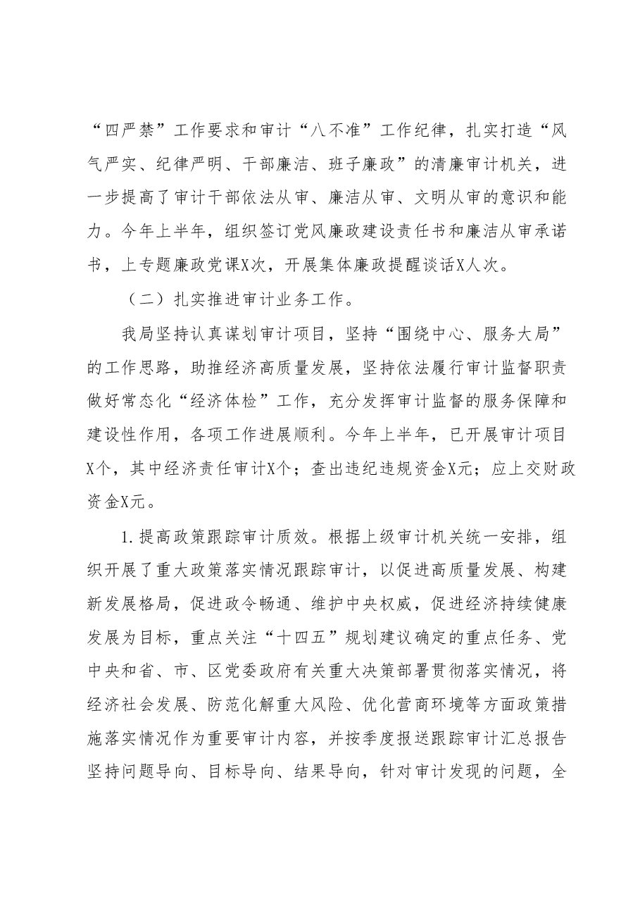 2023年上半年工作总结及下半年工作计划(审计局).docx,第3页预览