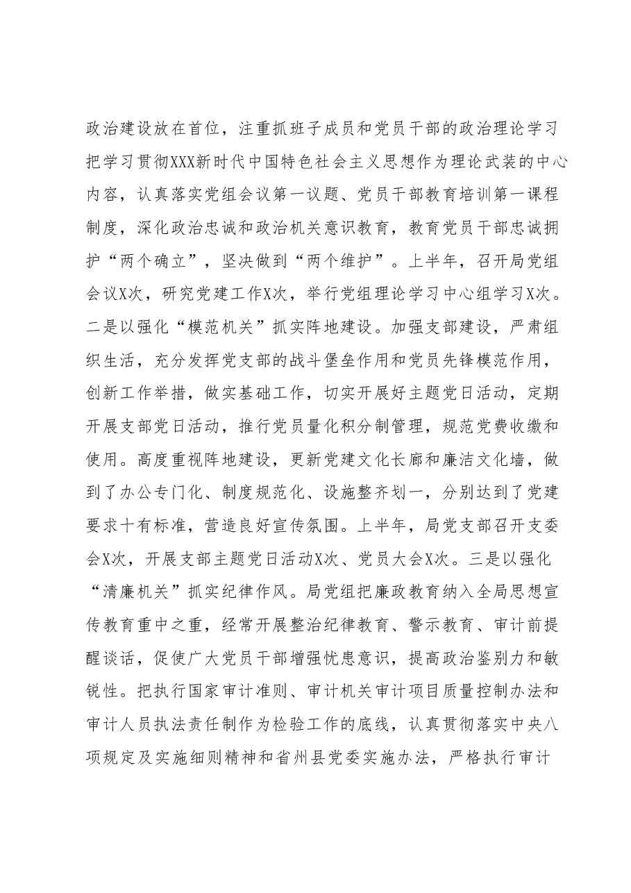 2023年上半年工作总结及下半年工作计划(审计局).docx,第2页预览