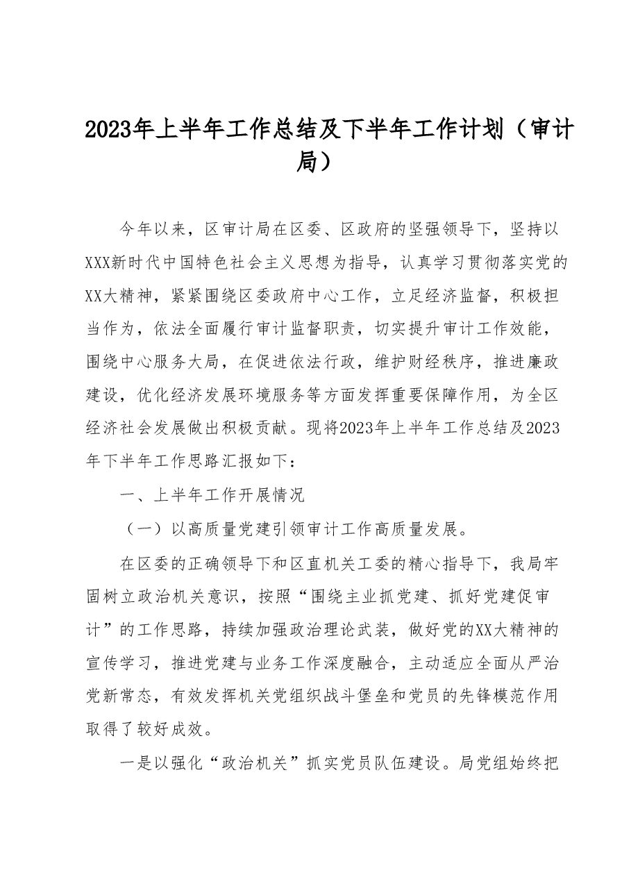 2023年上半年工作总结及下半年工作计划(审计局).docx,第1页预览