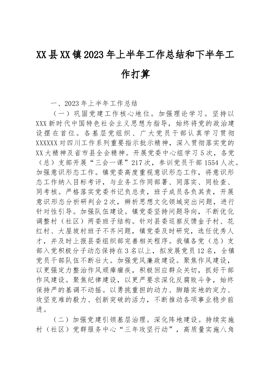 XX县XX镇2023年上半年工作总结和下半年工作打算.docx，第1页预览