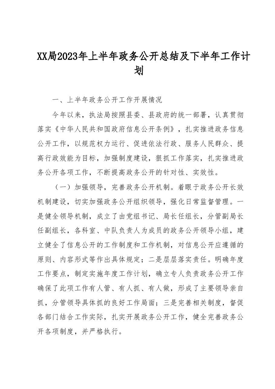 XX局2023年上半年政务公开总结及下半年工作计划.docx,第1页预览