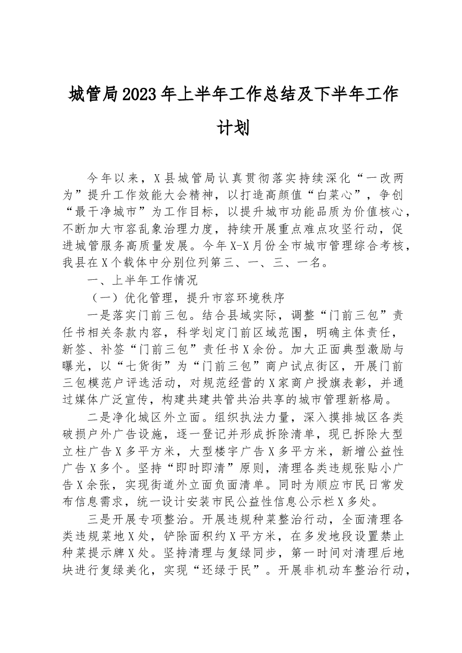 城管局2023年上半年工作总结及下半年工作计划.docx，第1页预览