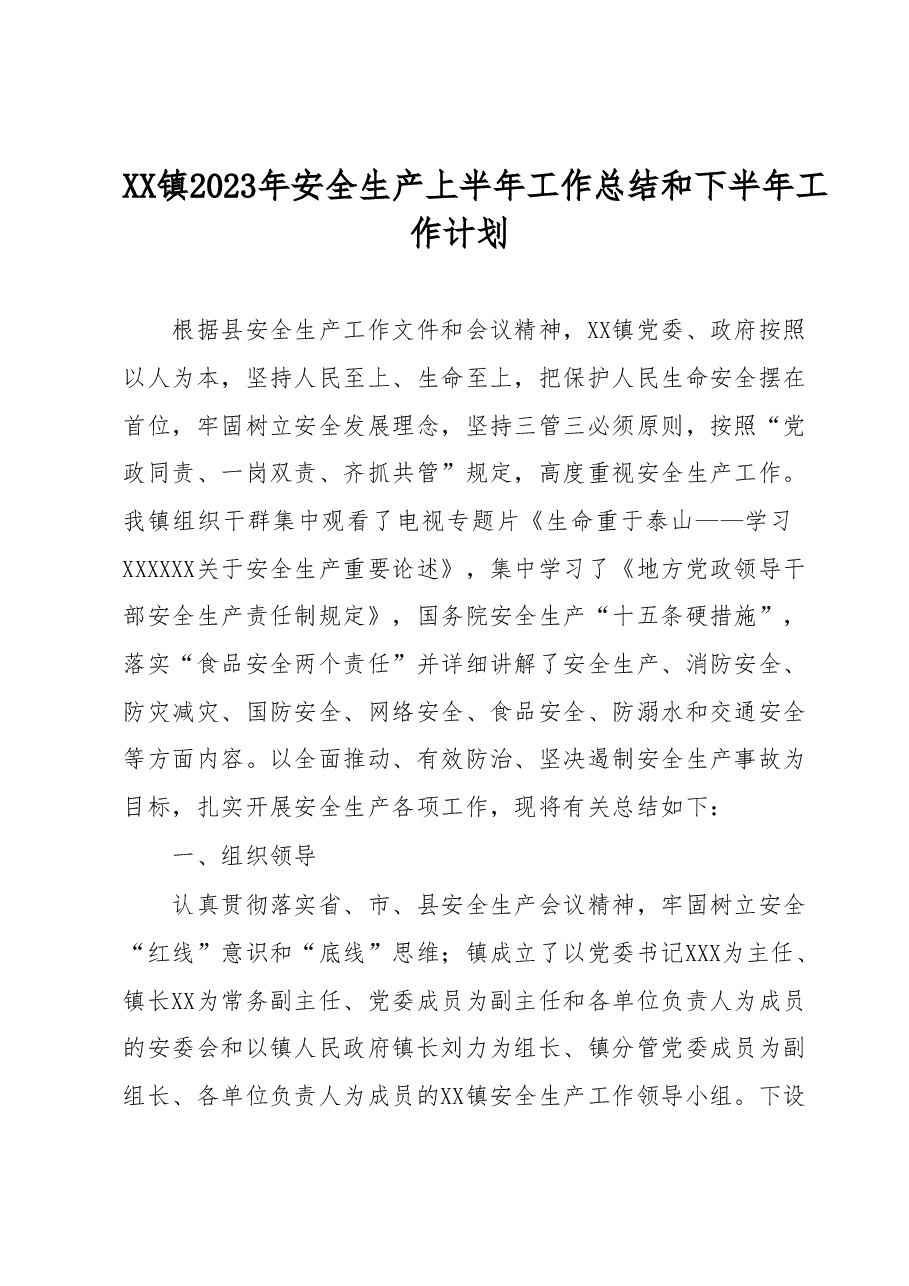 XX镇2023年安全生产上半年工作总结和下半年工作计划.docx,第1页预览