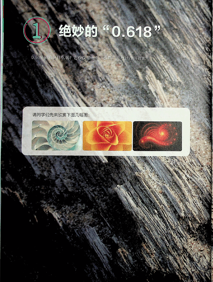 六年级数学启航班秋上.pdf，第3页预览