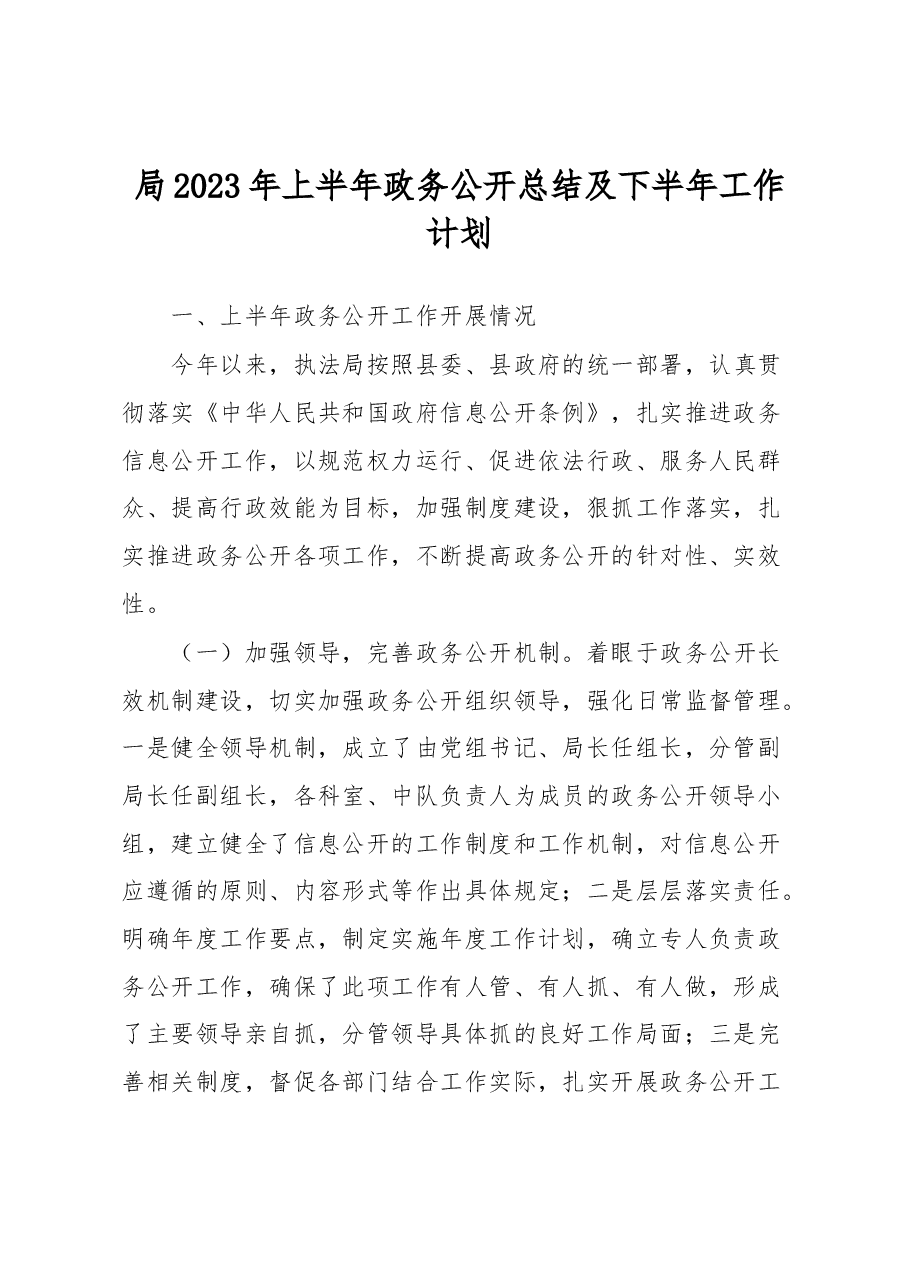 局2023年上半年政务公开总结及下半年工作计划.docx,第1页预览