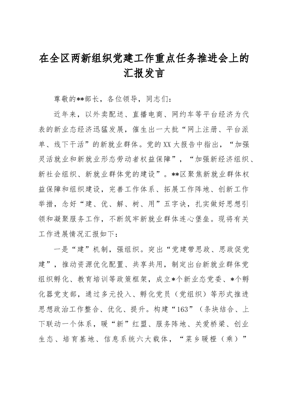 在全区两新组织党建工作重点任务推进会上的汇报发言.docx，第1页预览