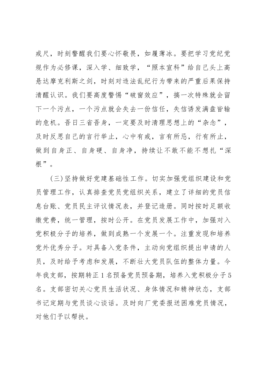 党支部建设自查自纠总结.docx,第2页预览
