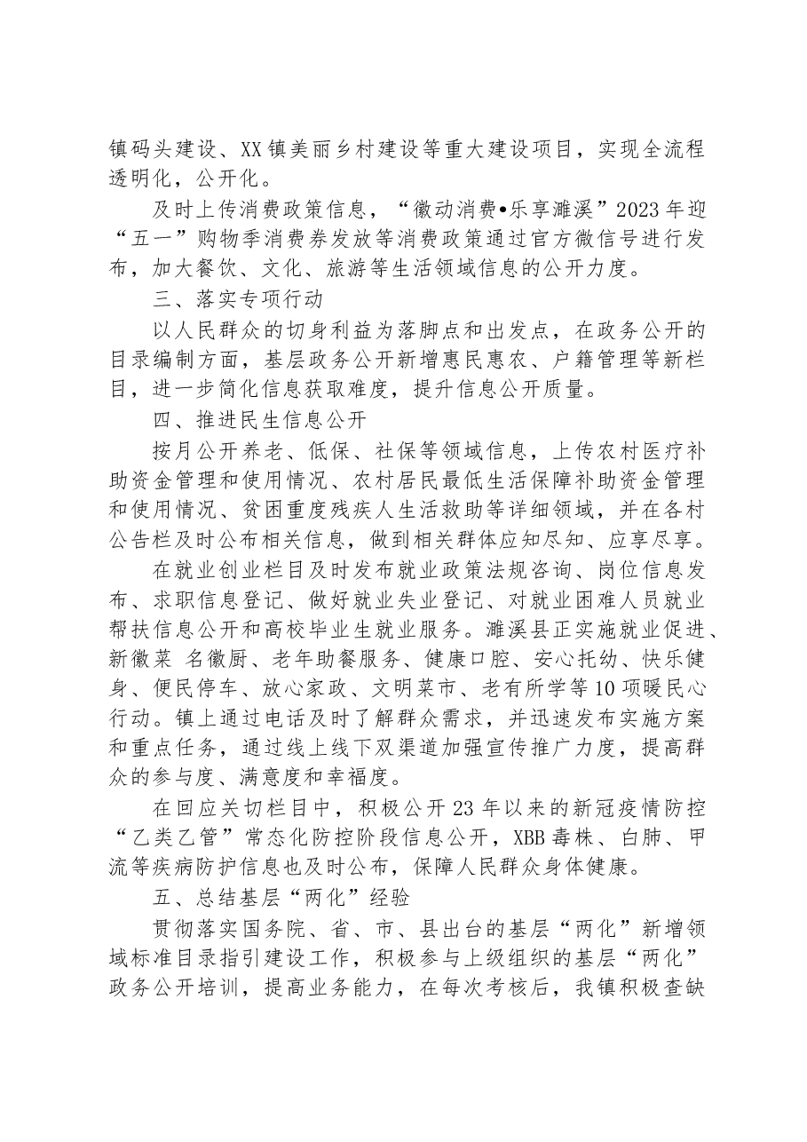 镇2023年政务公开上半年重点工作落实情况.docx,第2页预览