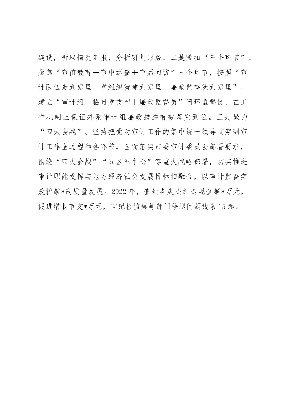 市审计局在全市党建工作会议上作交流发言.docx,第3页预览