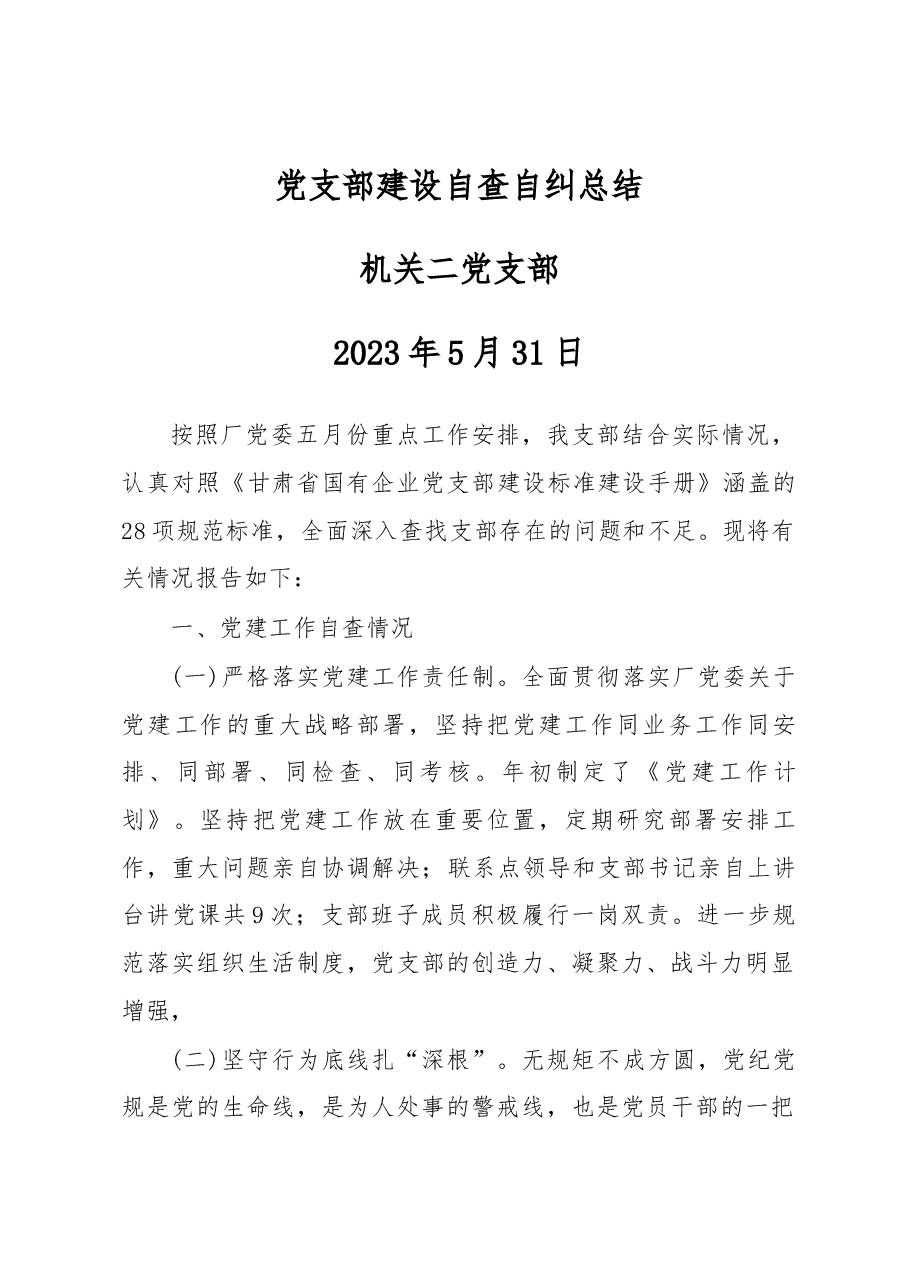 党支部建设自查自纠总结.docx,第1页预览