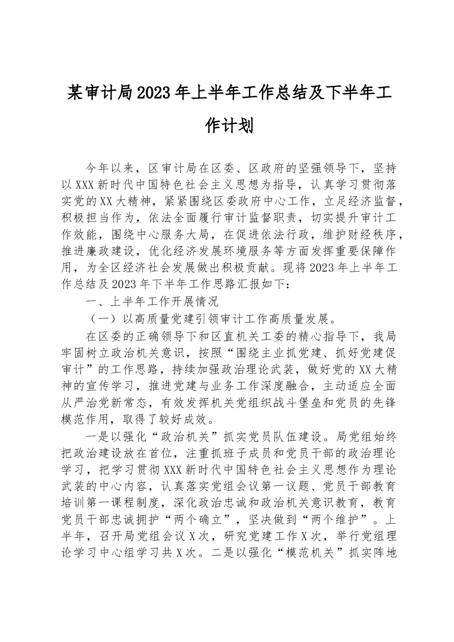 某审计局2023年上半年工作总结及下半年工作计划.docx,第1页预览