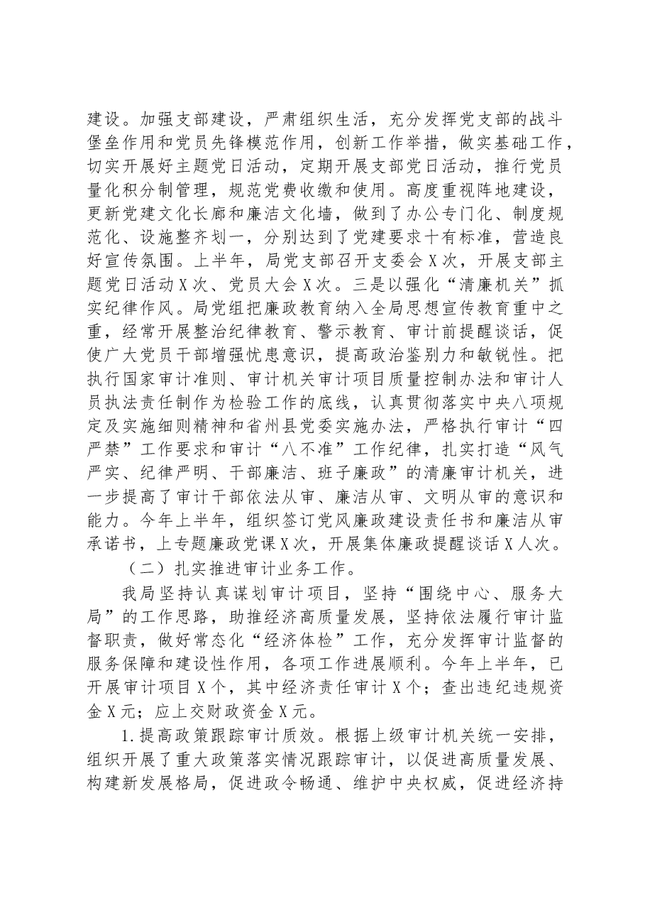 某审计局2023年上半年工作总结及下半年工作计划.docx,第2页预览