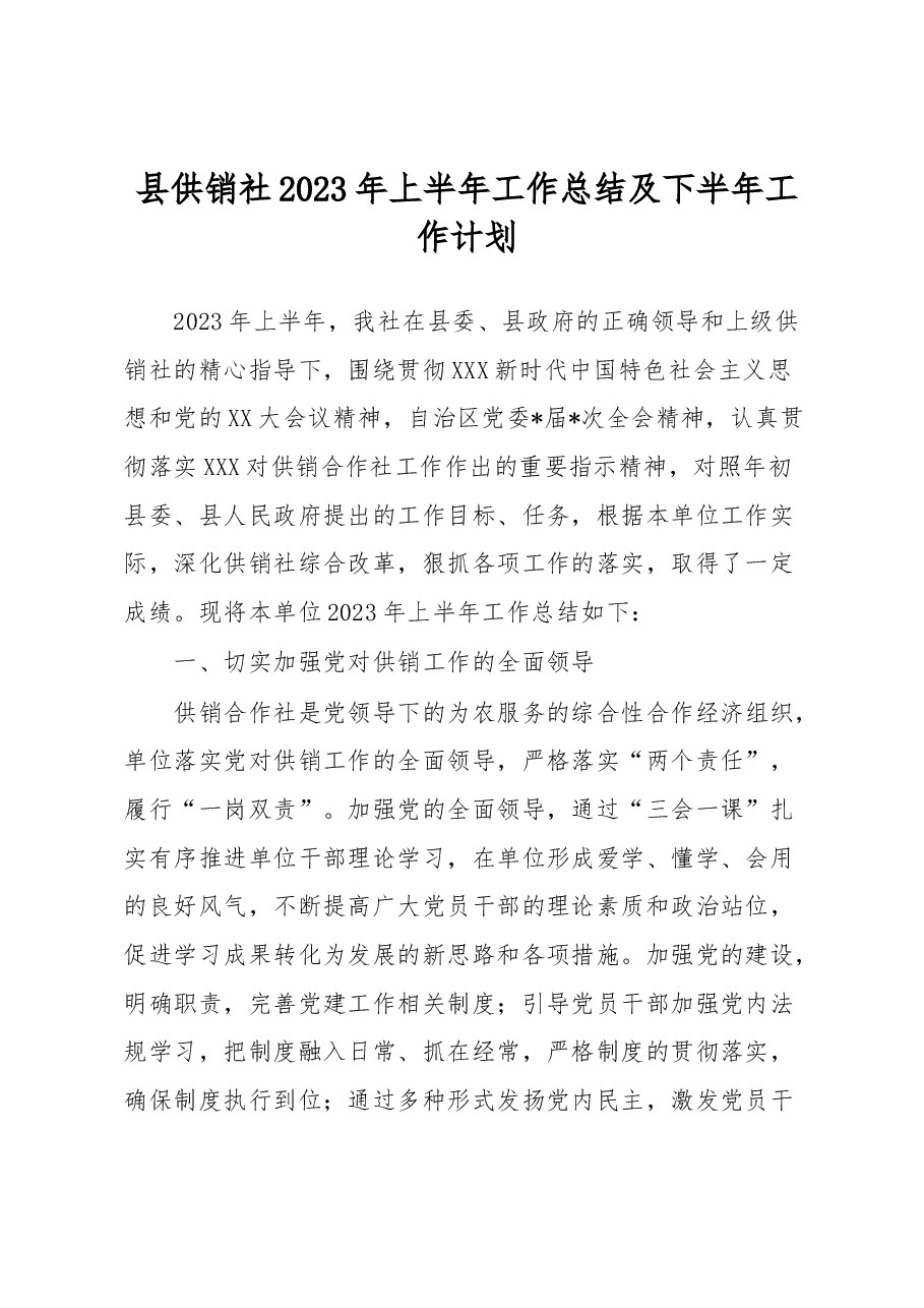 县供销社2023年上半年工作总结及下半年工作计划.docx,第1页预览