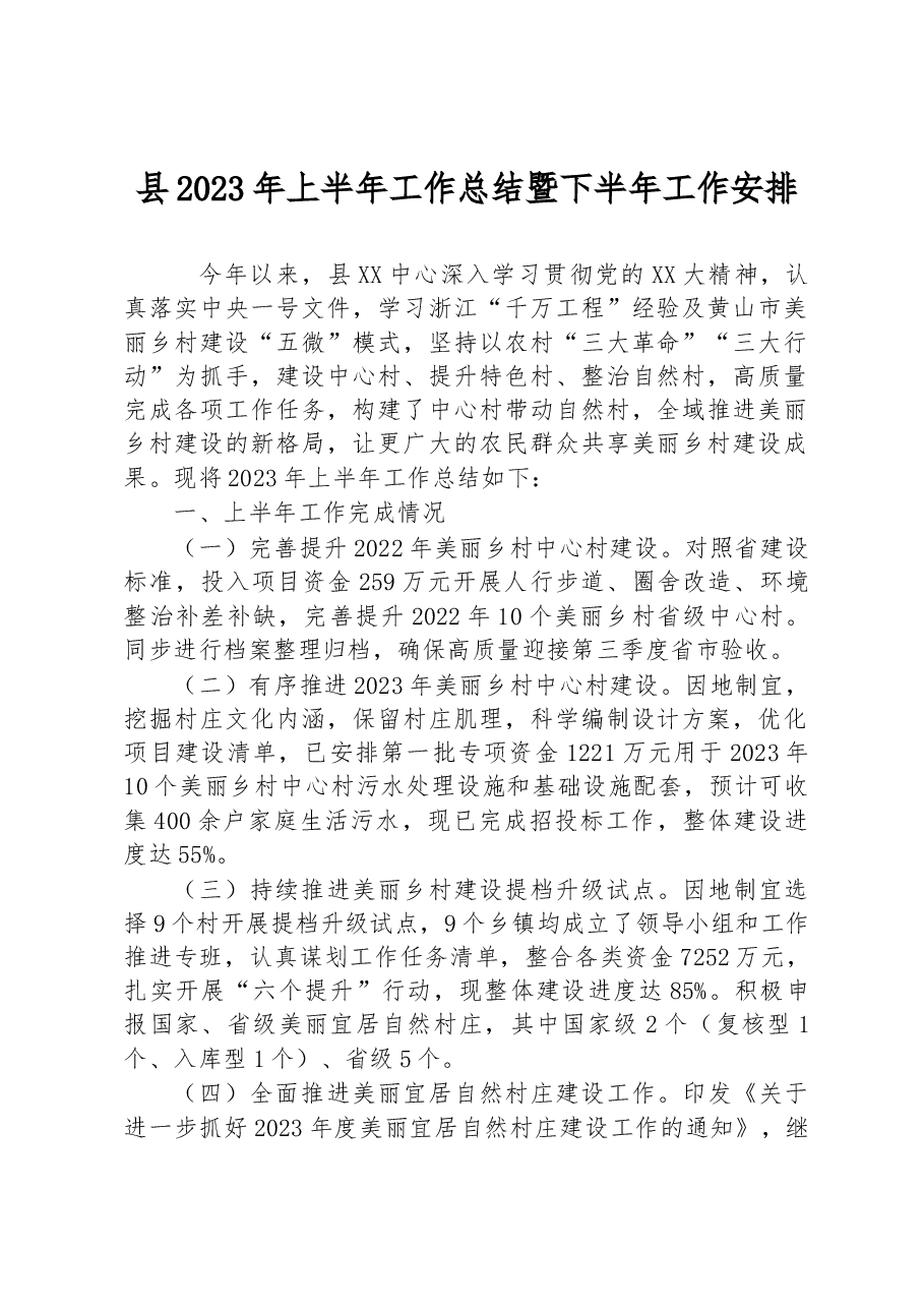 县2023年上半年工作总结暨下半年工作安排.docx,第1页预览