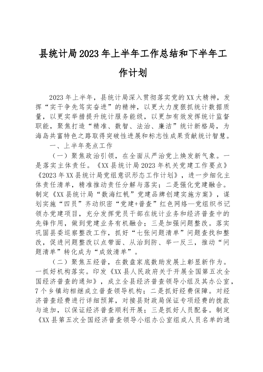 县统计局2023年上半年工作总结和下半年工作计划.docx,第1页预览