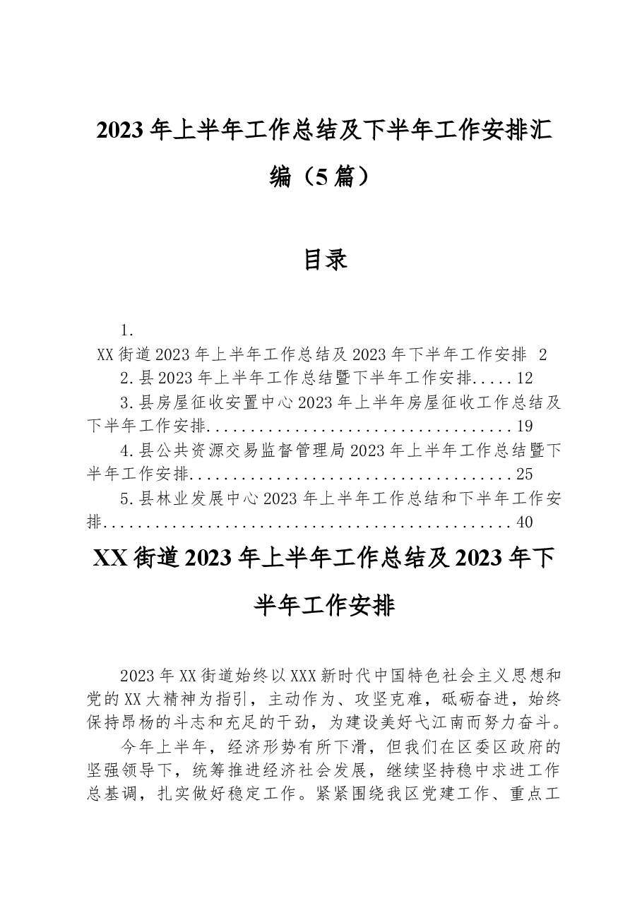 (5篇)2023年上半年工作总结及下半年工作安排汇编.docx,第1页预览