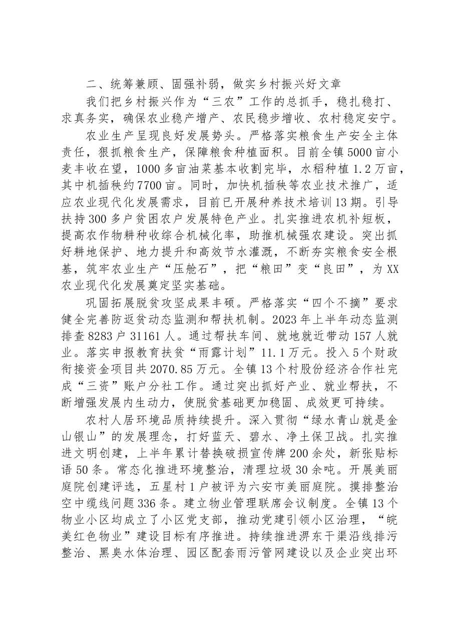 XX区XX镇2023年上半年工作总结以及下半年工作计划.docx，第2页预览