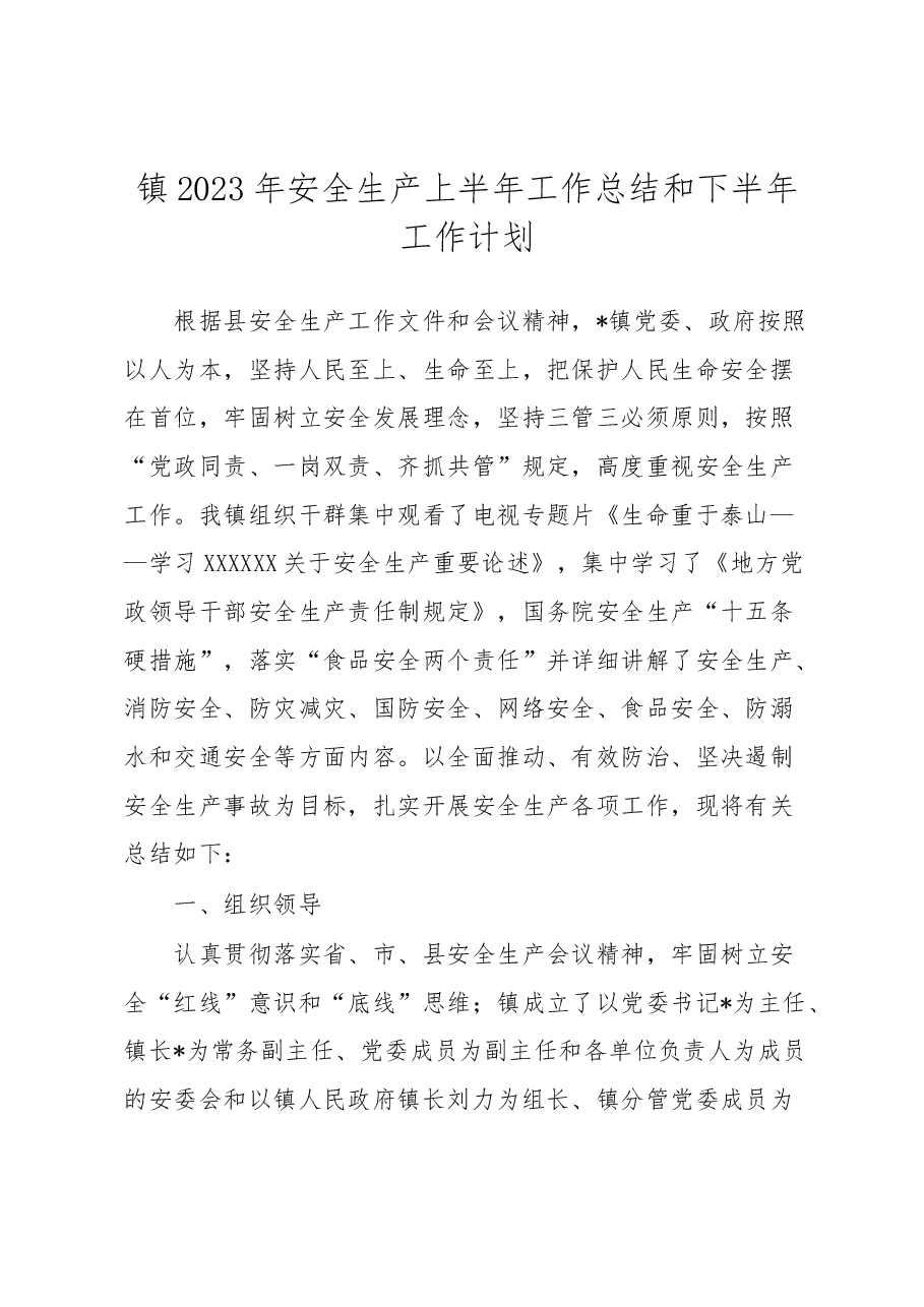 镇2023年安全生产上半年工作总结和下半年工作计划.docx,第1页预览
