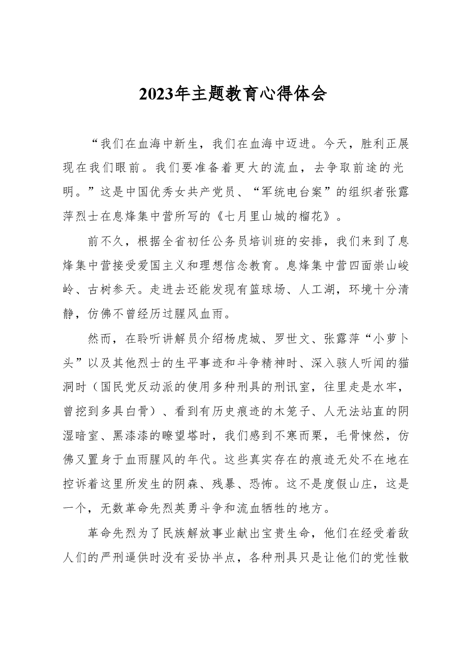 2023年主题教育心得体会.docx,第1页预览