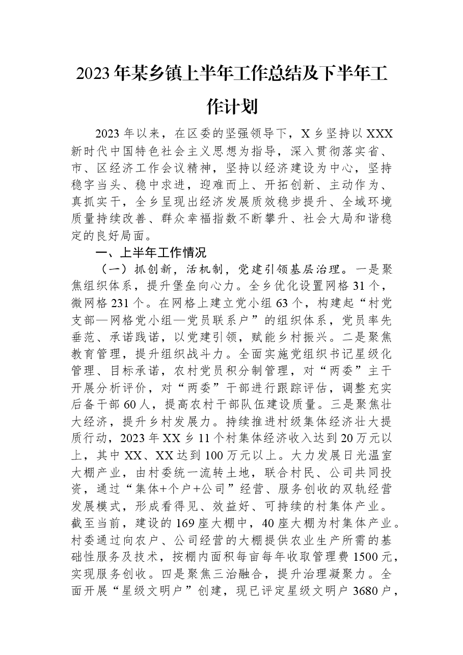 2023年某乡镇上半年工作总结及下半年工作计划.docx,第1页预览