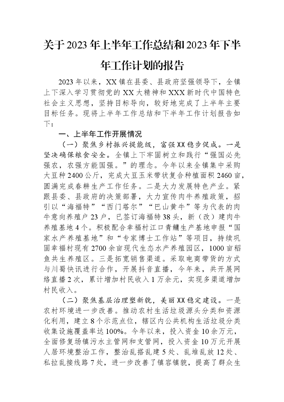 关于2023年上半年工作总结和2023年下半年工作计划的报告.docx,第1页预览