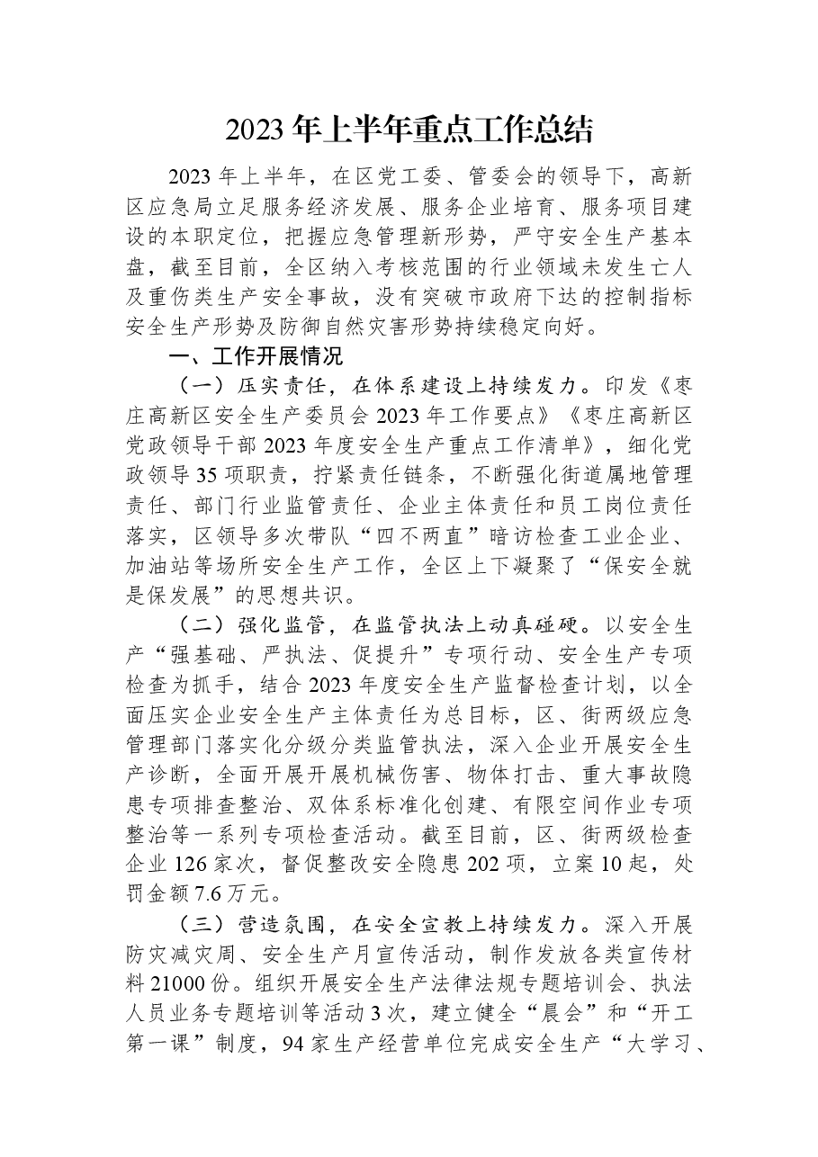 2023年上半年重点工作总结.docx,第1页预览
