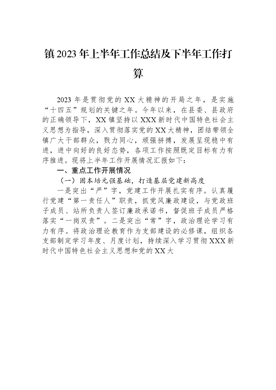 镇2023年上半年工作总结及下半年工作打算.docx,第1页预览