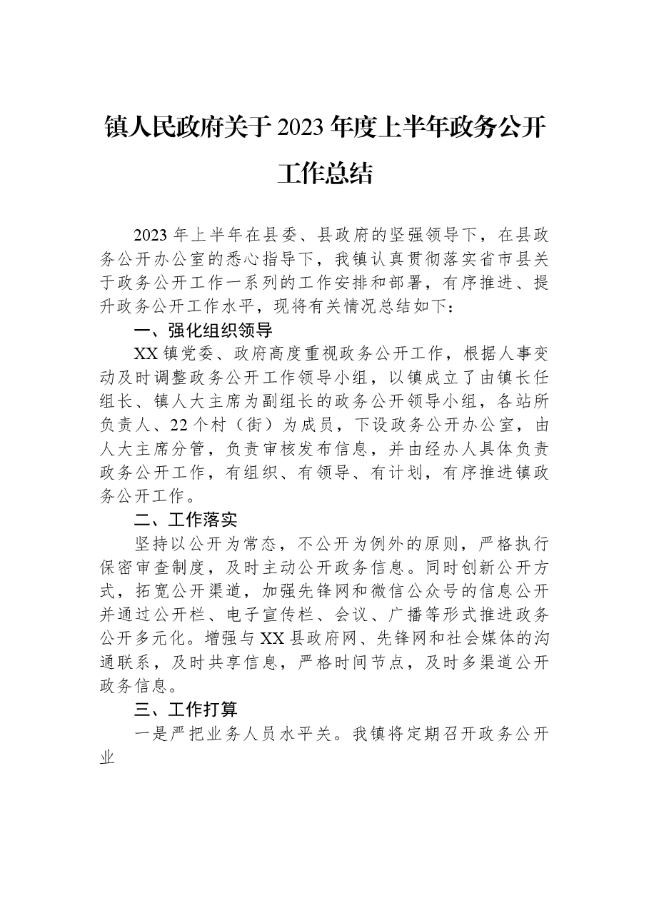 镇人民政府关于2023年度上半年政务公开工作总结.docx,第1页预览