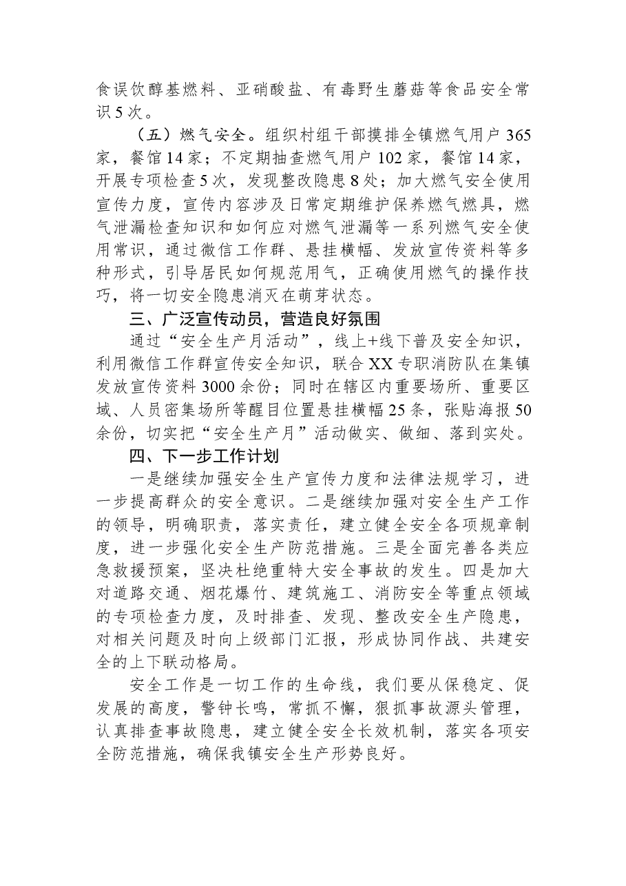 镇2023年安全生产半年工作总结.docx,第3页预览
