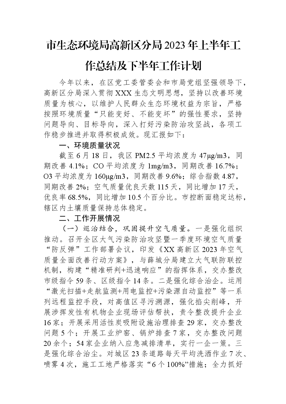 市生态环境局高新区分局2023年上半年工作总结及下半年工作计划.docx，第1页预览