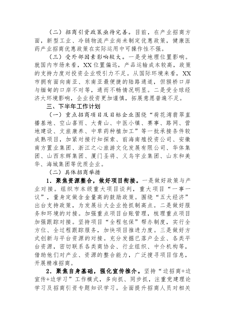 市投资促进局2023上半年工作总结和下半年工作计划.docx,第3页预览