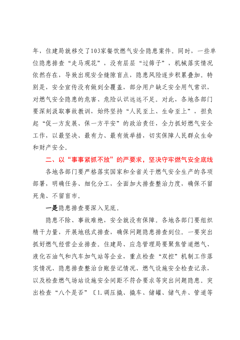 学习贯彻重要指示批示精神在燃气大会上的讲话.docx,第3页预览