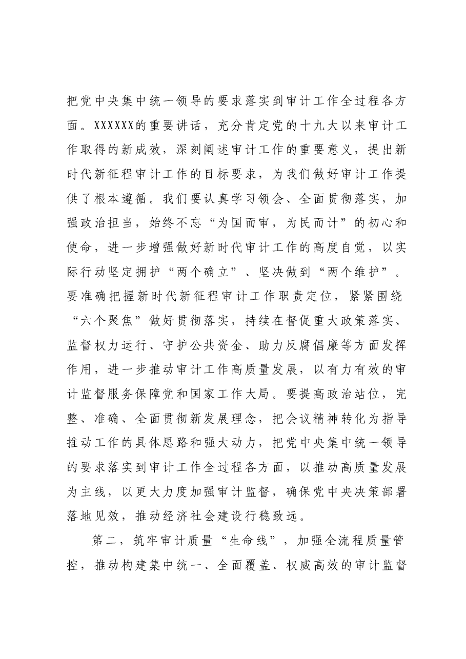 在X审计委员会第X次会议上的讲话提纲.docx,第2页预览