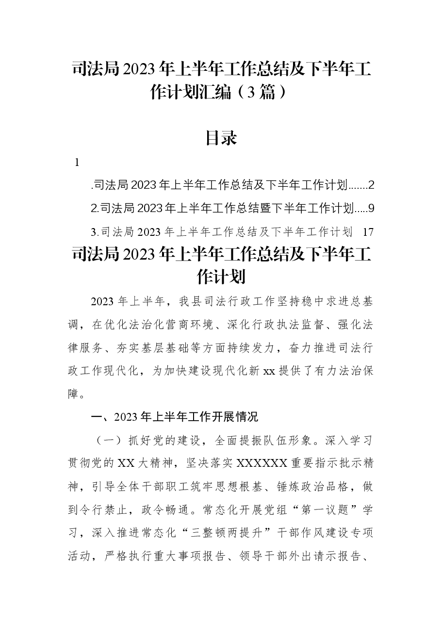 (3篇)司法局2023年上半年工作总结及下半年工作计划汇编.docx,第1页预览